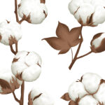 Cotton